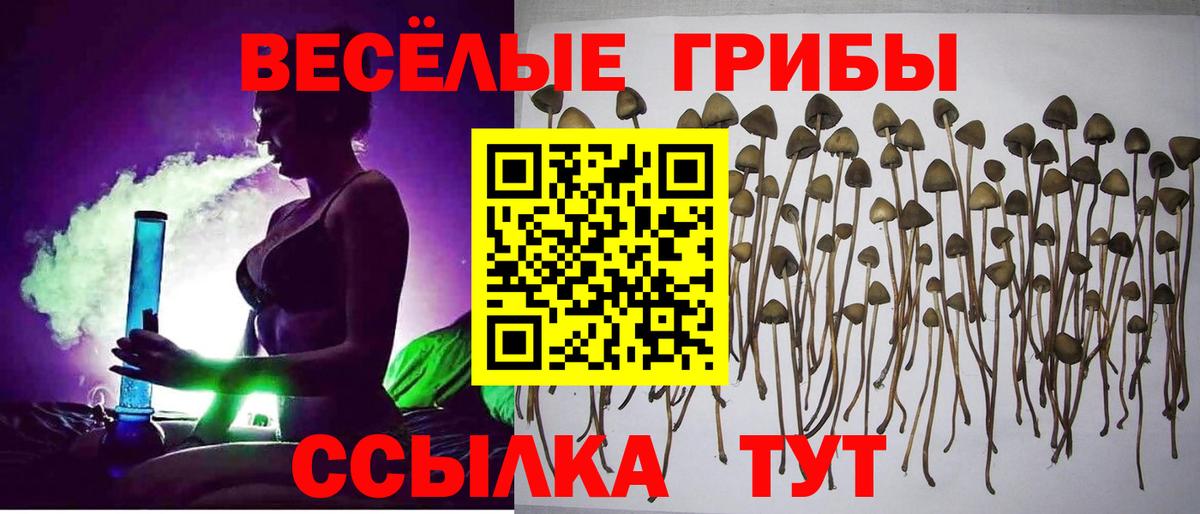 Галлюциногенные грибы Psilocybine cubensis  Галлюциногенные грибы MAGIC MUSHROOMS  Мценск  Вход с VPN 